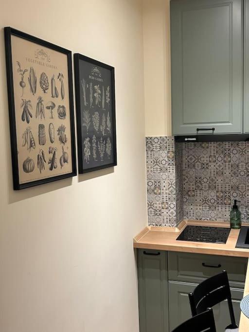 Alea Central Studio Art Museum Craiova Eksteriør bilde